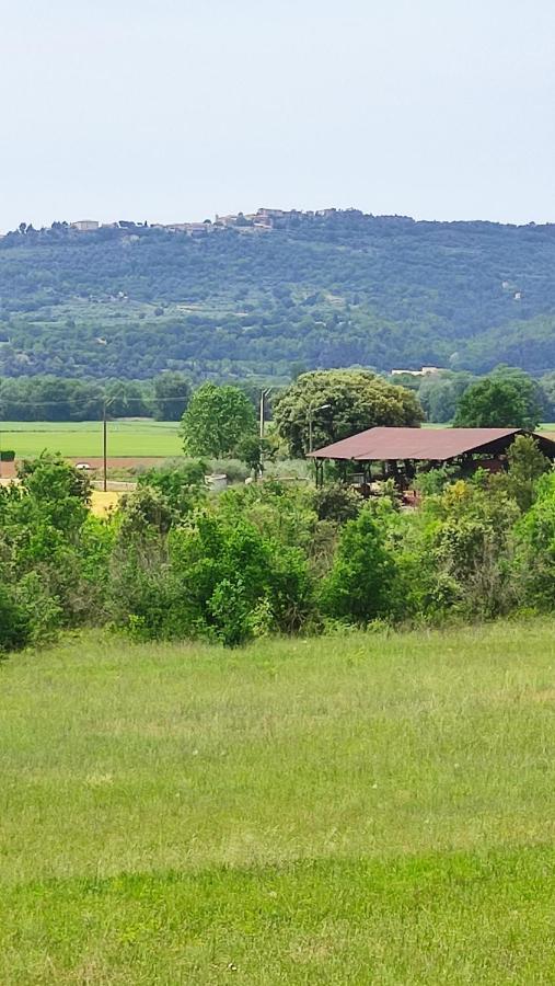Joli Appartement Dans Village Calme En Provence Les Mées Eksteriør billede