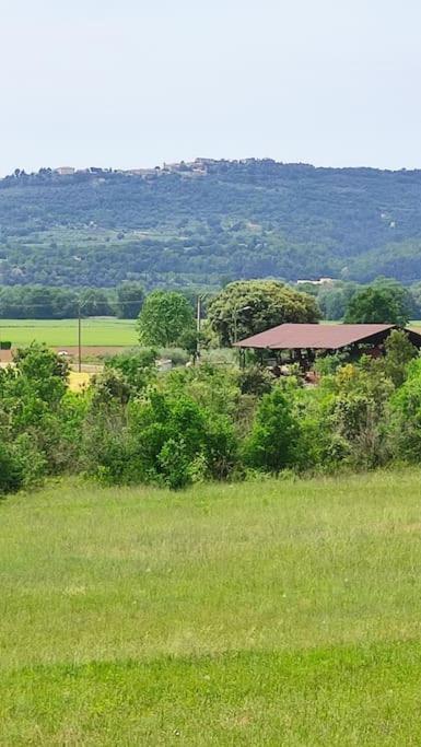Joli Appartement Dans Village Calme En Provence Les Mées Eksteriør billede